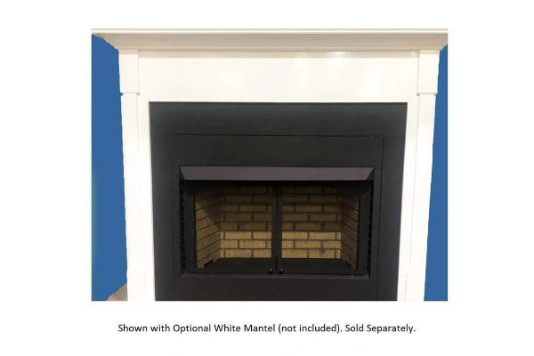 Buck Stove Model 42ZCBB Builder Series Vent Free Firebox