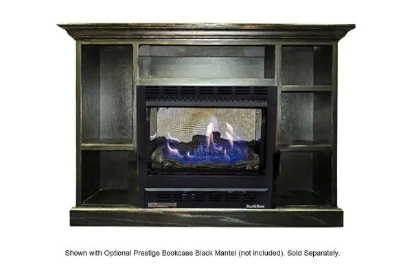 Buck Stove Model 1110 Black Vent Free Propane Stove