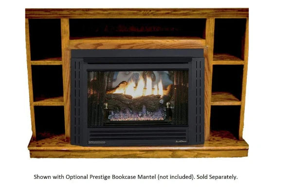 Buck Stove Model 34 Contemporary Vent Free Propane Gas Stove