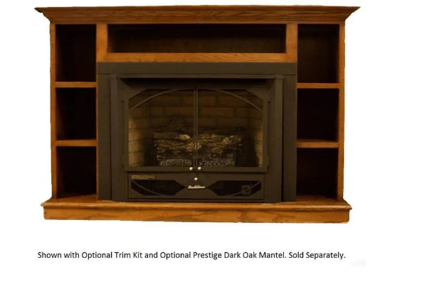 Buck Stove Model 384 Vent Free 33000 BTU Natural Gas Stove