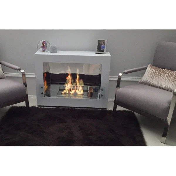 The Bio Flame Evoque 35" Freestanding Stainless Steel See-Through Ethanol Fireplace