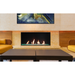 Single-Sided Barrier-Screen Direct-Vent Fireplace